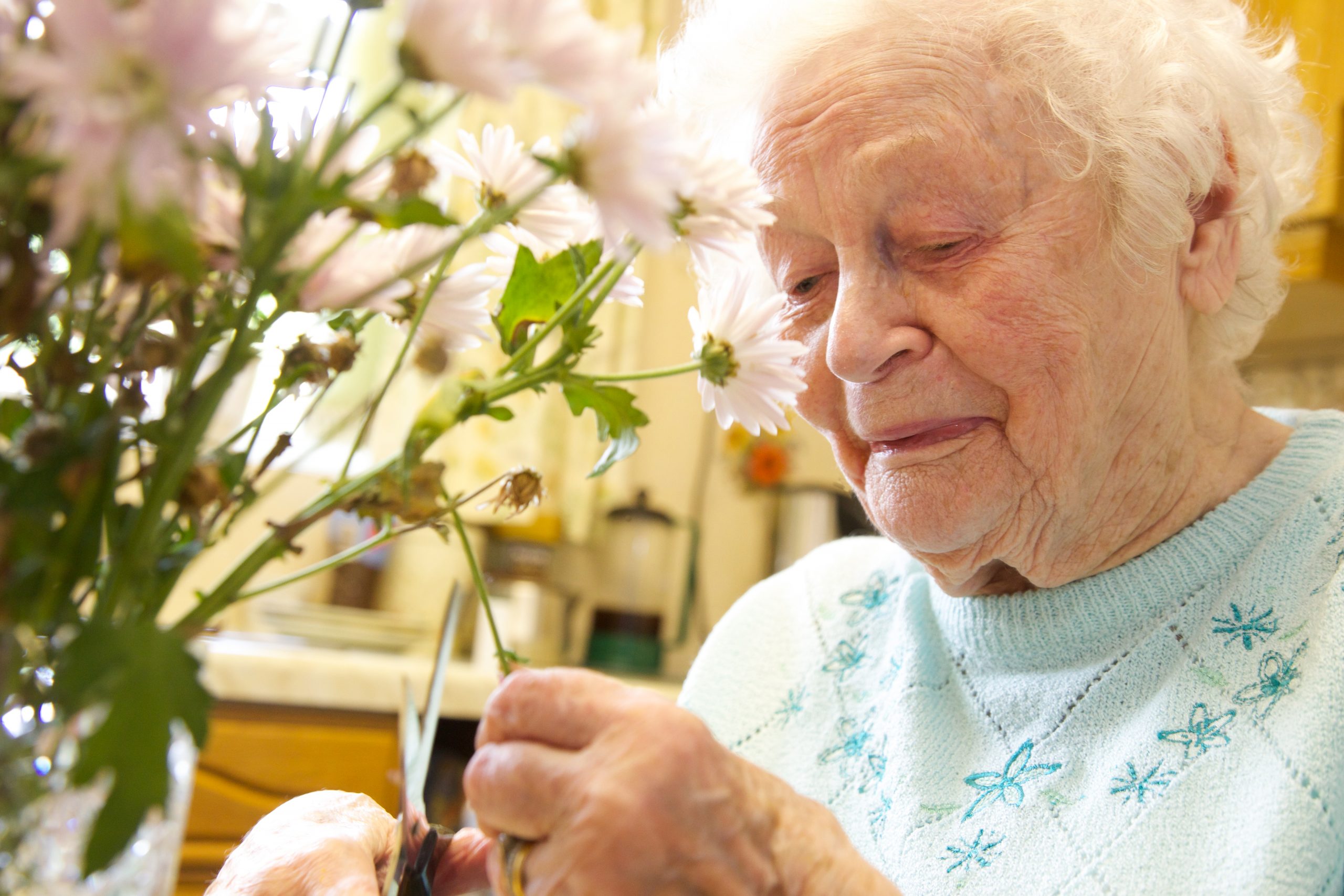 Thinking - Wellbeing Centred Care